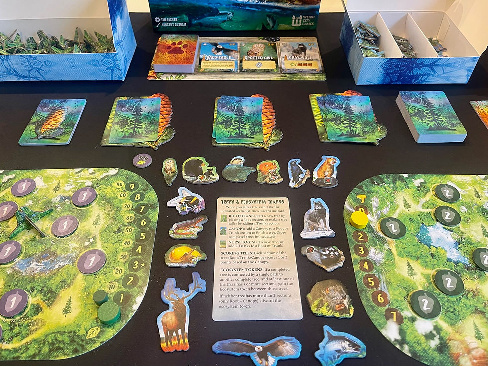 Canopy: Evergreen Board Game Review