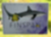 Finspan: Sharks & Reefs Board Game Expansion Review