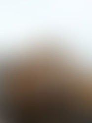 Home Additions: Increasing Your Living Room with Style