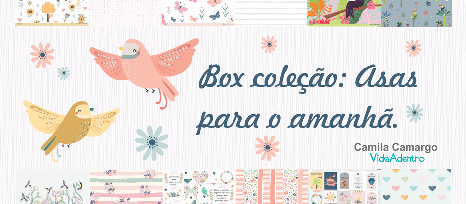 Coleção Asas para o amanhã