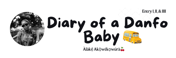 DIARY OF A DANFO BABY 