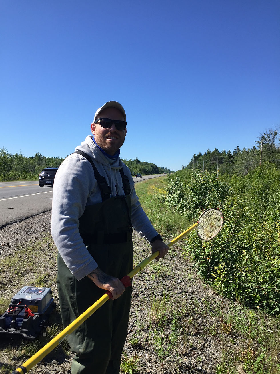 Electrofishing Trial #2