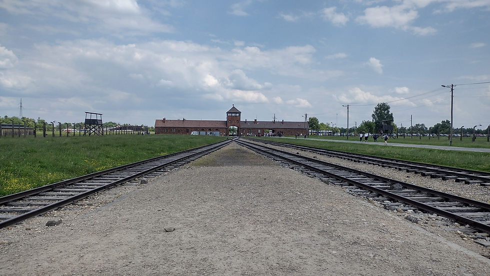 Auschwitz 5.jpg