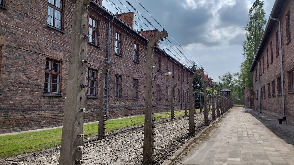 Auschwitz 2.jpg