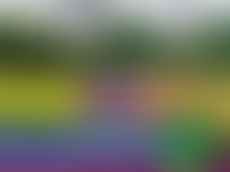 Right-of-Way Clearance with Lewis Tree