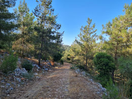 WhatsApp Image 2021-05-29 at 20.48.55 (1).jpeg