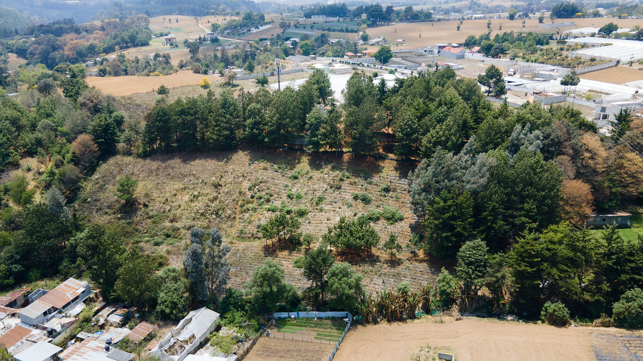 LotificacionAltosDeTecpan