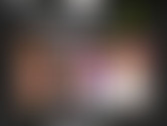 ZULMA DE UDC Y PVEM LLEVA LA DELANTERA SEGUIDA POR ELISA DE MORENA EL PRI EN TERCER LUGAR.