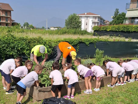 Guardiamoci intorno... e sporchiamoci le mani. Gli orti didattici della Scuola per l'infanzia Raffaello di Druento