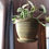 Thumbnail: Hanging Pottery Planter with built in catch basin, Hanging Ceramic Planter with