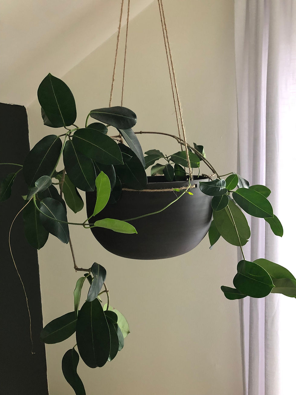 Thumbnail: Hanging Ceramic Planter, Modern Pottery Planter with or without drainage, 4