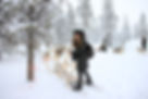 dogsledding-1.jpg