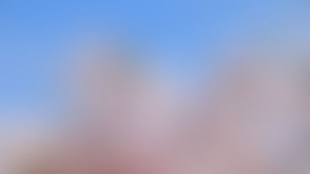 お花見のおすすめスポット