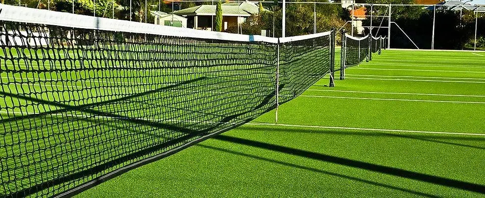 Courts.webp