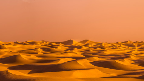 Mesquite Gold