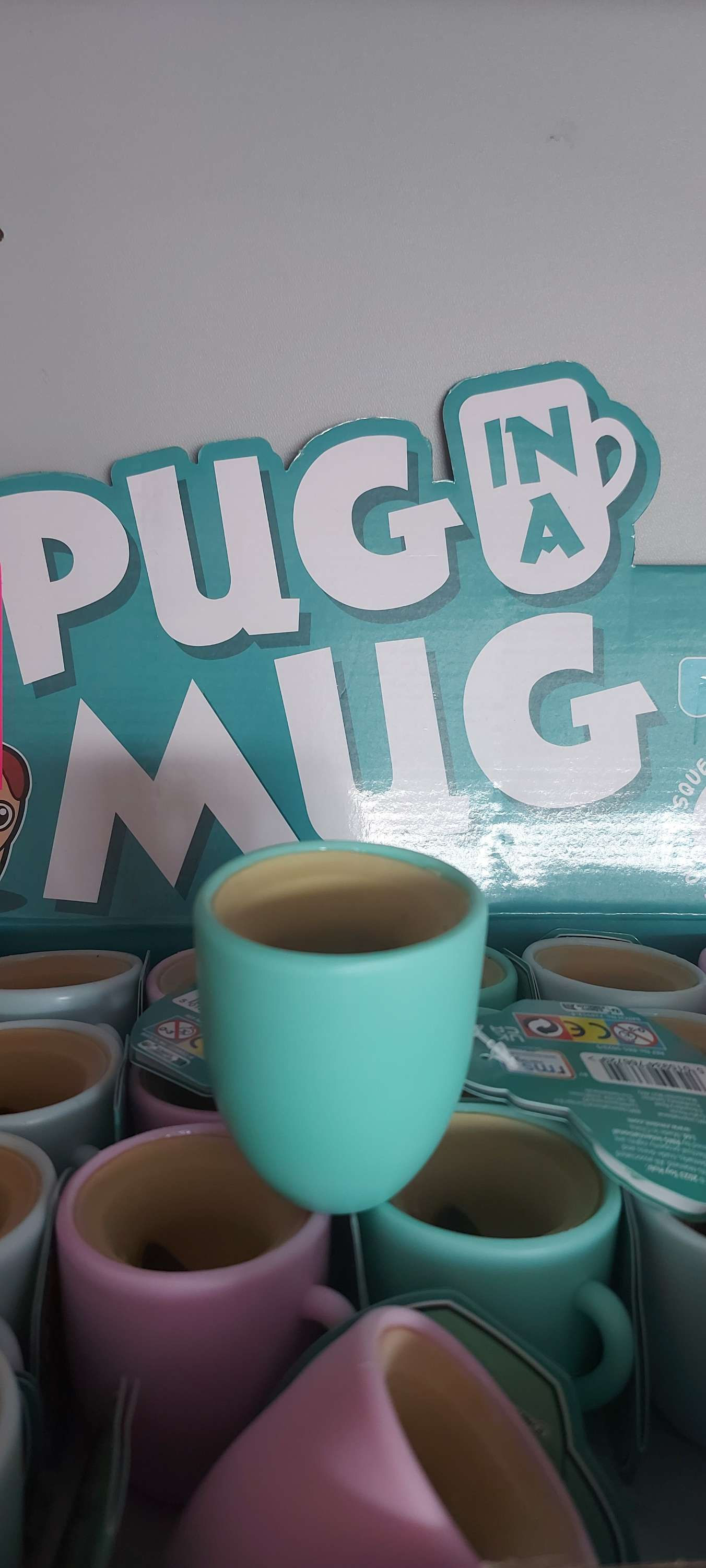Pug in a Mug
