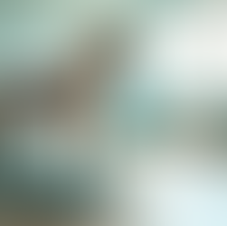 Understanding Mechanical Horse Therapy Benefits