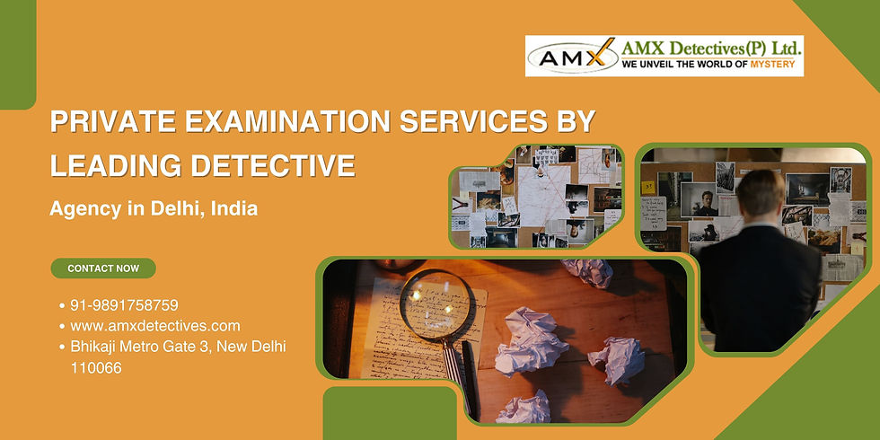 PRIVATE DETECTIVE AGENCY IN DELHI BY AMX DETECTIVES 2025.
