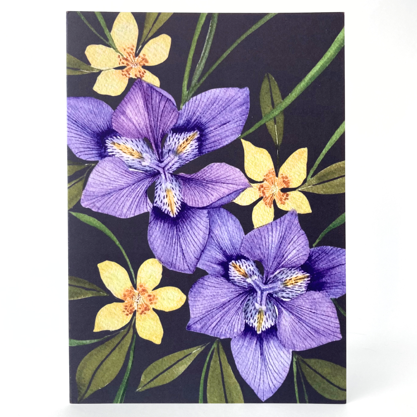 Watercolour Iris Floral Greeting Card, Original Artwork, Blank Inside, A5 Size