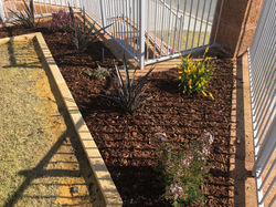 Limestone Edging