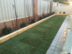 Backyard Landscape