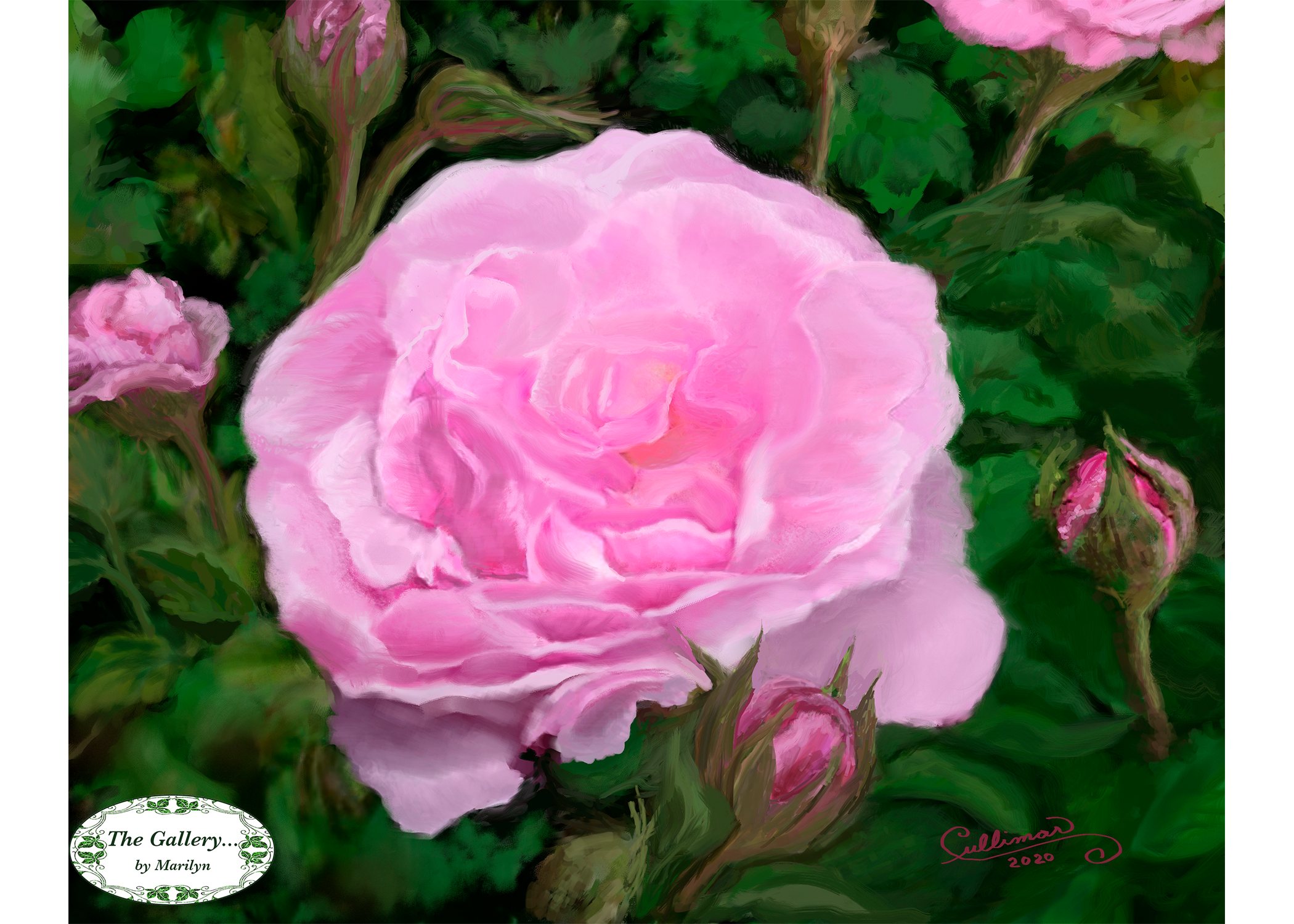 Scented Roses
