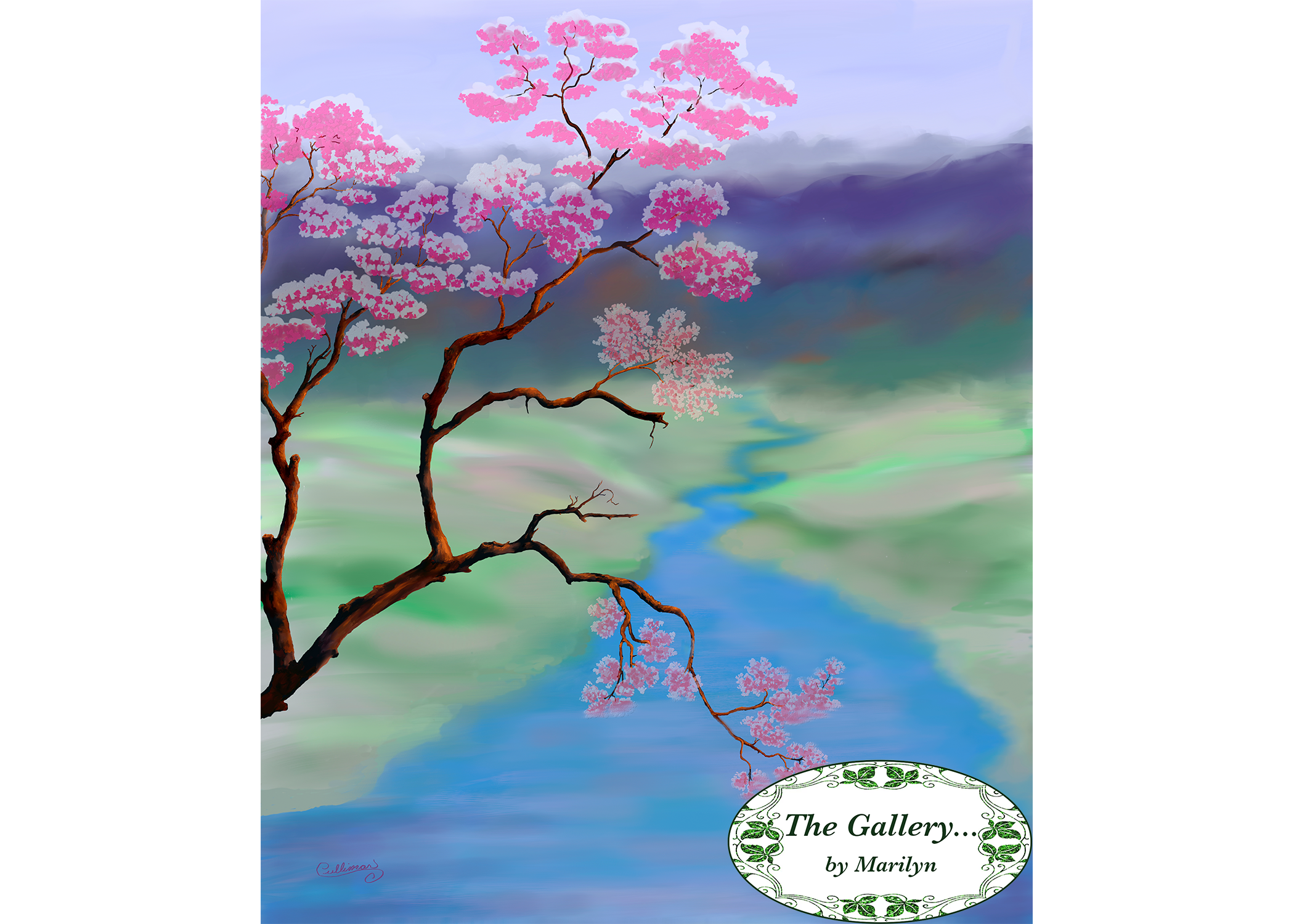 Cherry Blossoms