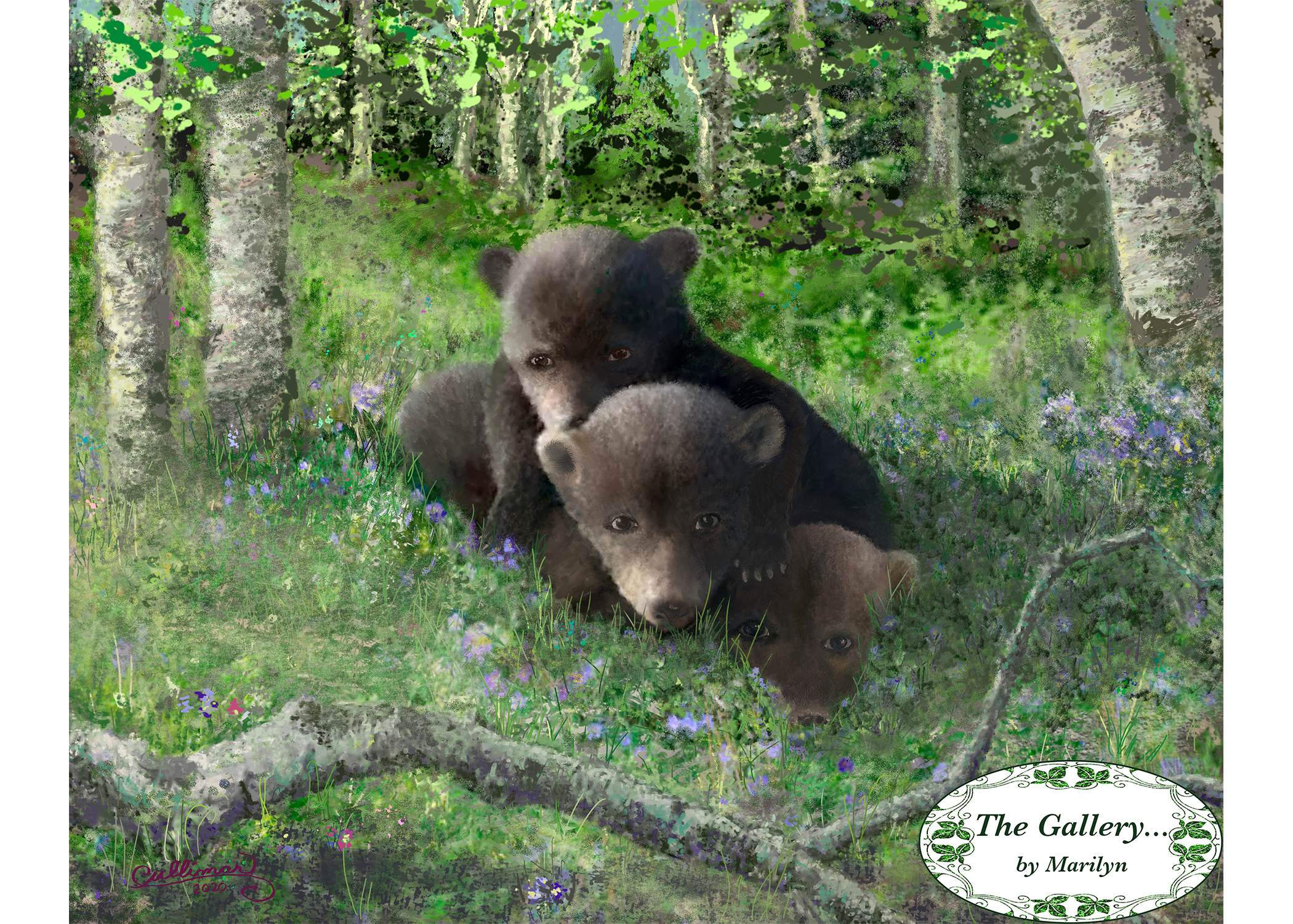 Black Bear Cubs At Play
