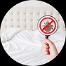 Advanced Bedbug Solutions that will eliminate your issues. Best Pest Control Practices