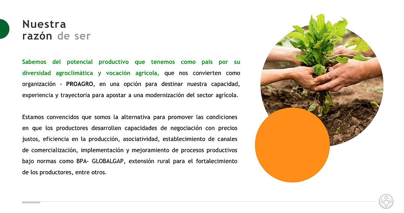 Imagen de WhatsApp 2025-09-22 a las 10.38.00_93106025.jpg