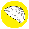 Abzeichen Muschel