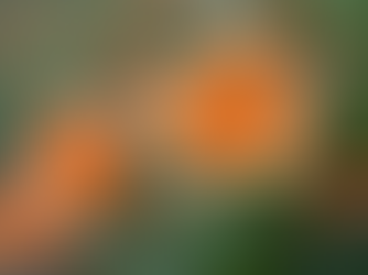 Floristerías cerca de Manga con personalización: personalizar flores manga para momentos únicos