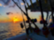 IMG_5008.jpeg