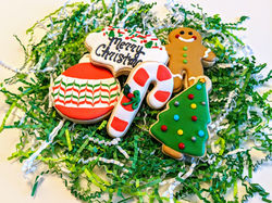 MVIMG_20191117_101036