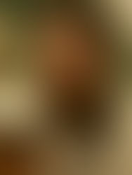 THE VOICE OF HIND RAJAB