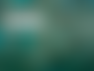 Neurocirurgia no Hospital Santa Paula