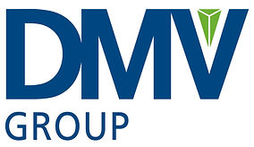 DMV_Logo_Group.jpg