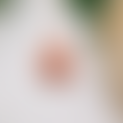 Award-Winning Cherokee Artists to Headline RCCA February Meeting in Claremore