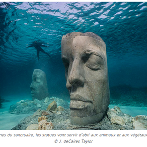 Revue de presse #9