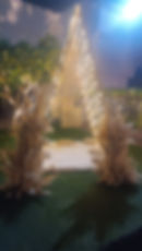 IMG-20241206-WA0018