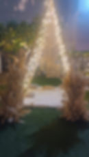 IMG-20241206-WA0021