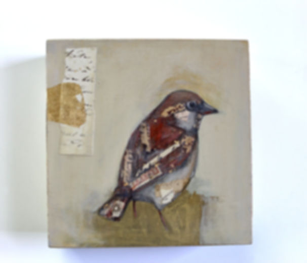original soft toned sparrow bird painting wall art on wood common house sparrow