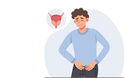 Bladder Prostate (2).png