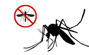 Anti malarial.png
