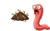 anti worm.png