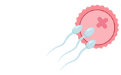 female infertility (1).png