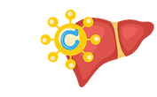hepatitis c .png
