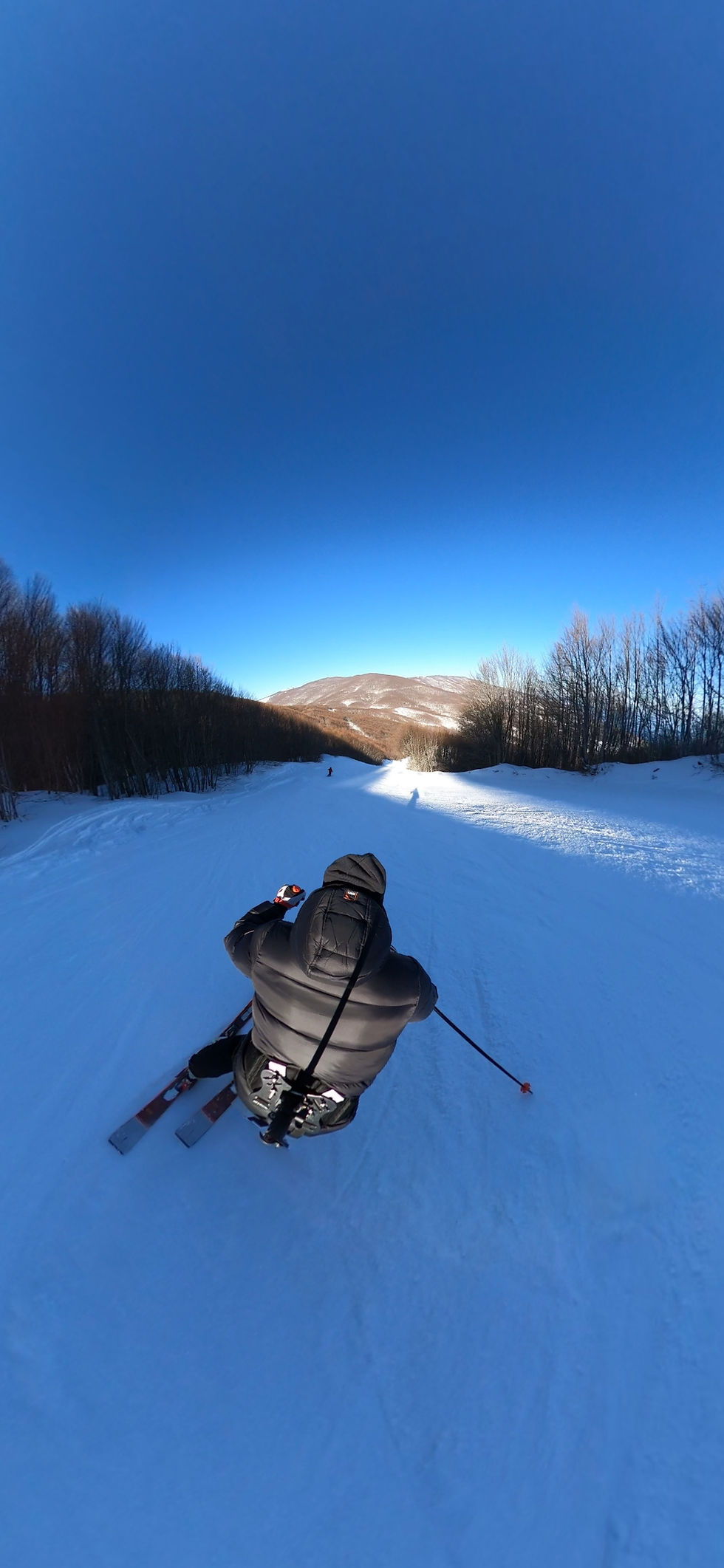 Thumbnail: Harness Stick for action camera