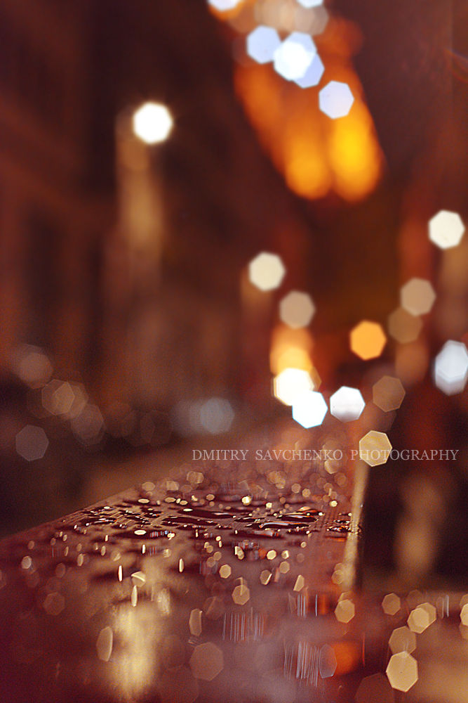 Rain near the Eiffel Tower. Rue de Monttessuy. Paris. 75007