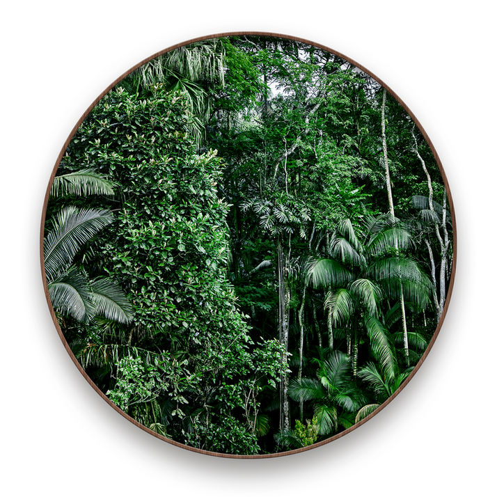 Sergio Kovacevick, CASACOR, Fotografia Fine Art para Decoração, Save the Forest, Save the Atlantic Forest, Mata Atlântica, Amazônia, Amazon Rainforest, Atlantic Forest, Amazon, Floresta, Forest, Verde, Green, Ecologia, Natureza, Série Original, Decore com Fotografia, Decoração, Quadros com fotografia…